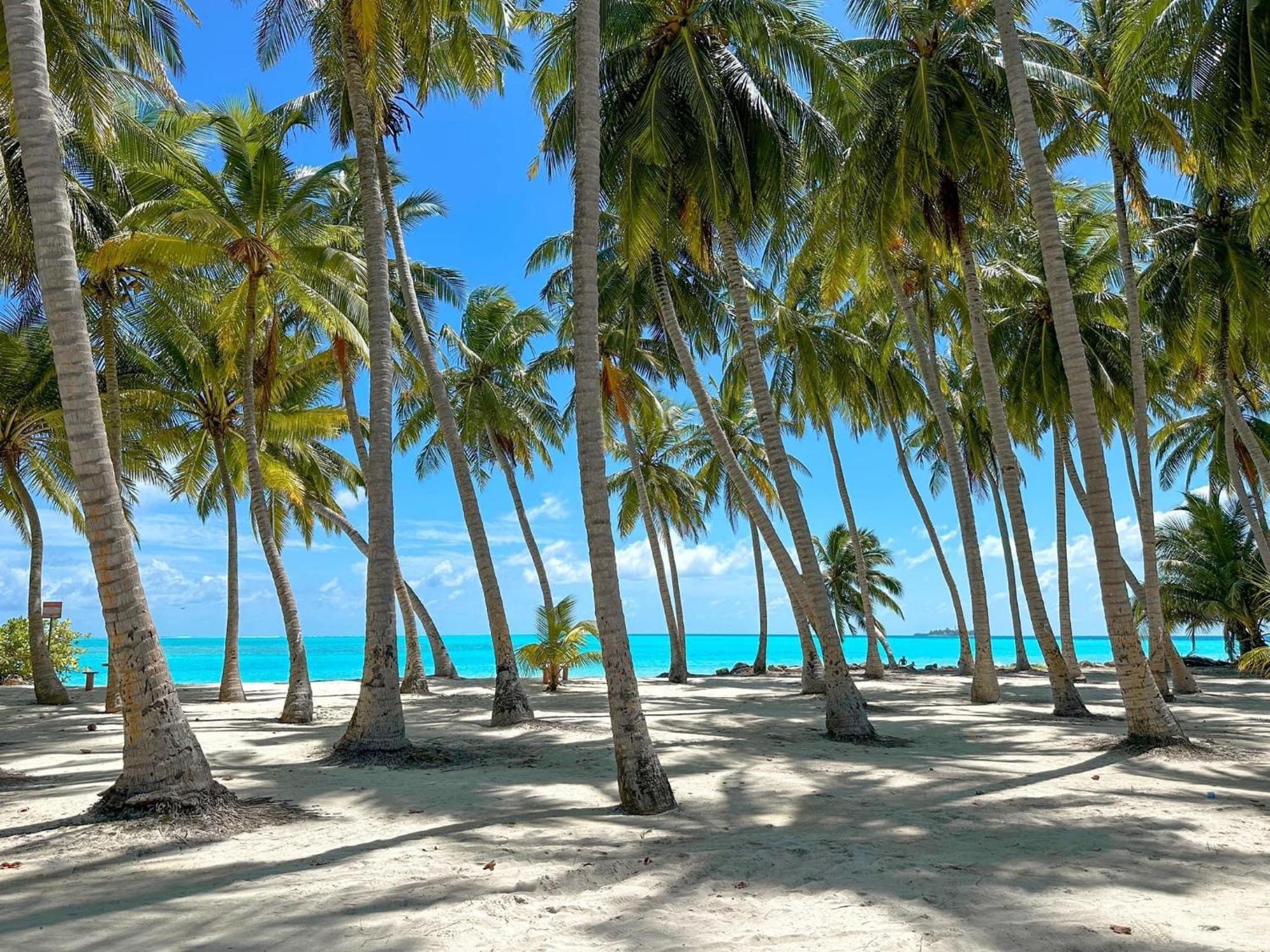 Mathiveri Beach View Ngoại thất bức ảnh